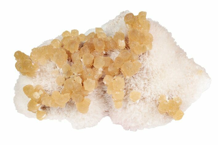 Yellow Calcite On Scolecite (Zeolite) Sprays - Maharashtra, India #195773